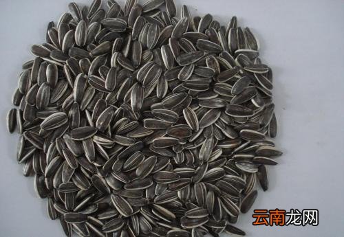 生葵花籽功效及食用 吃生葵花籽有什么好处