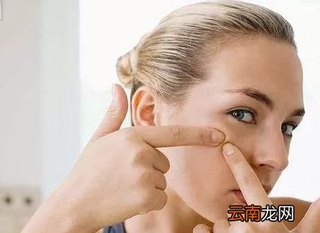 人湿气重吃什么好 它的功效超级强