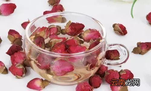 人湿气重吃什么好 它的功效超级强