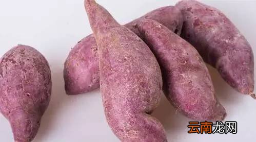 紫薯营养价值及功效 常吃紫薯有效抗衰老