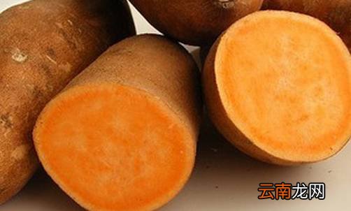 降压降脂的食物有哪些 这6种食物是世界公认的