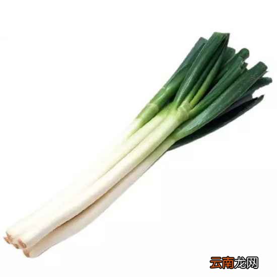 男人壮阳的食物 男人壮阳吃什么好