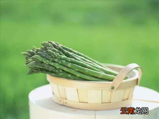 豆芽蔬菜的功效吃豆芽的好处介绍