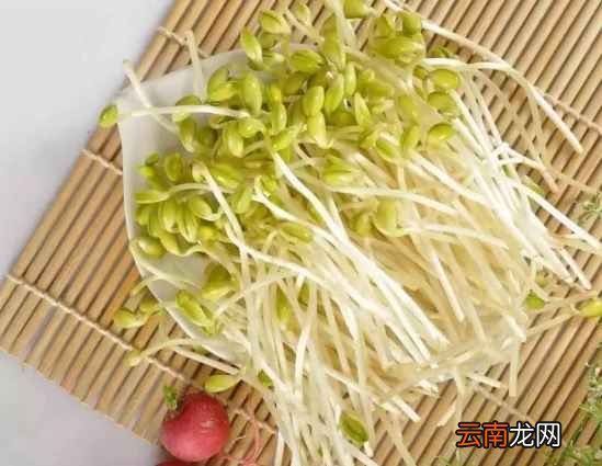 豆芽蔬菜的功效吃豆芽的好处介绍