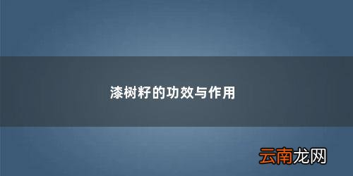 漆树的果实是什么样的 漆树籽的功效与作用
