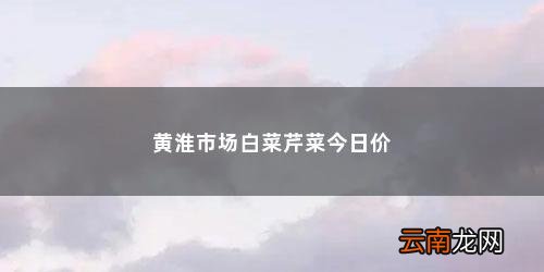 新发地今日蔬菜价格表官网 黄淮市场白菜芹菜今日价