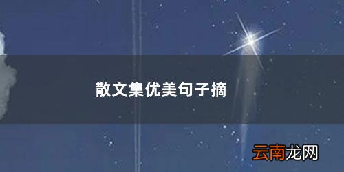 散文集优美句子摘抄简短 散文集优美句子摘抄