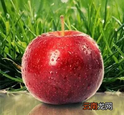 水果减肥有效吗 吃这几种水果保证有效