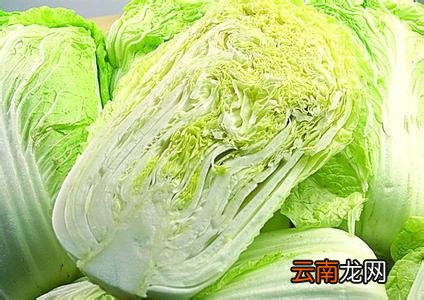 吃白菜的好处及禁忌 白菜切勿与这些同食