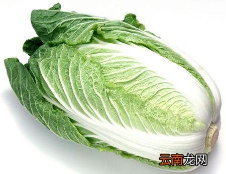 吃白菜的好处及禁忌 白菜切勿与这些同食