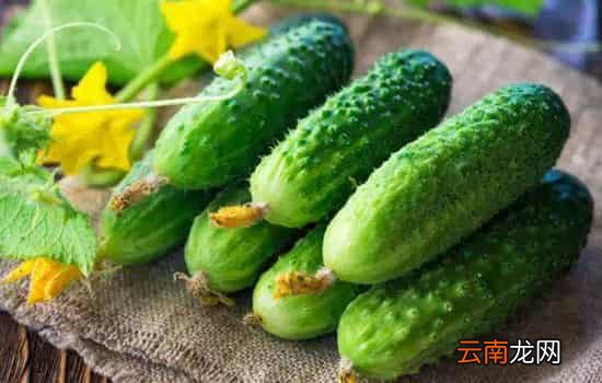 雪里红不能与什么同食 食用雪里红需注意3大相克