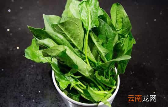 雪里红不能与什么同食 食用雪里红需注意3大相克