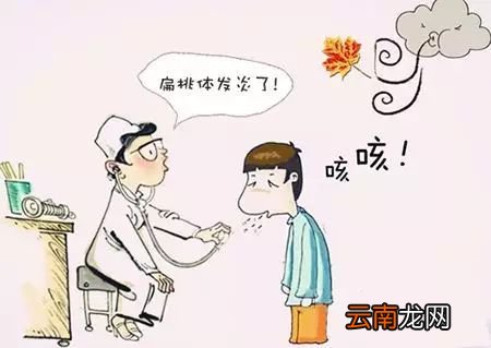扁桃体发炎适合吃什么食物 这5种食物分享给大家