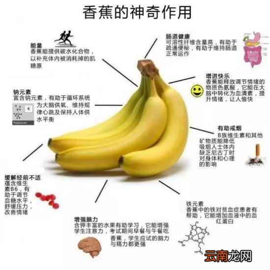 香蕉的功效与用处 常吃香蕉身体棒