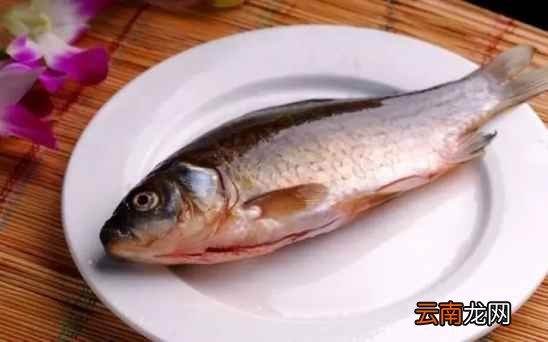 白萝卜鲫鱼汤的做法 一道美味可口鱼汤做法