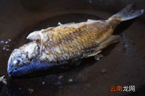 白萝卜鲫鱼汤的做法 一道美味可口鱼汤做法