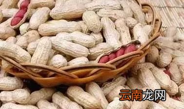 常吃花生的好处 长期吃花生有什么好处