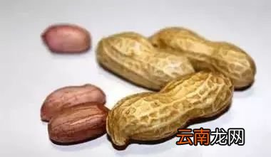 常吃花生的好处 长期吃花生有什么好处