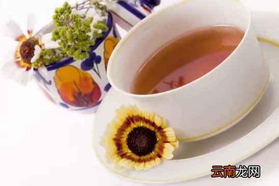 喝茶的文化要注意什么 这7不饮你可知道