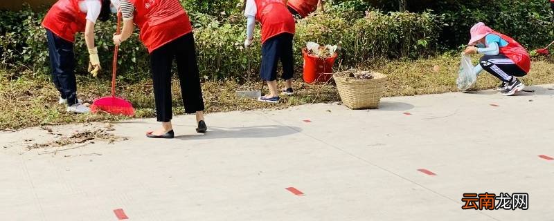 社区服务活动有哪些主题