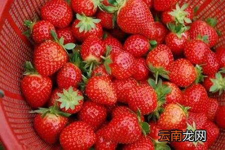肝火旺盛吃什么食物 肝火旺多吃这些食物