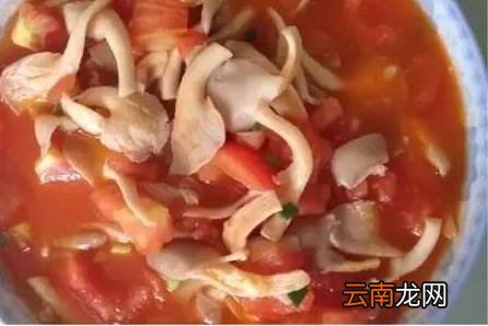 蘑菇做法大全家常 多款美味蘑菇家常做法