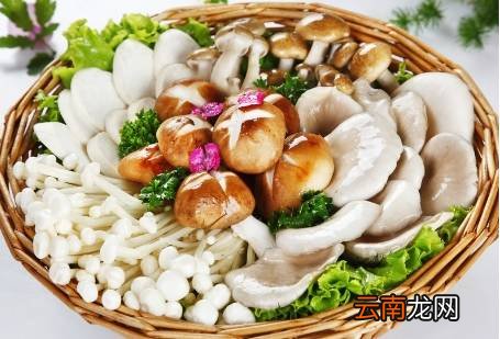 蘑菇做法大全家常 多款美味蘑菇家常做法