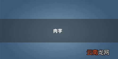 红烧肉芋头的家常做法大全视频 肉芋