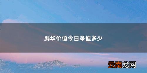 买定投基金有好的方法吗视频 鹏华价值今日净值多少