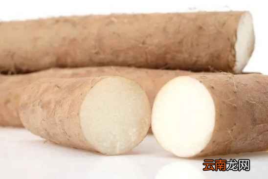 枸杞加什么泡水好 不加它营养都白搭