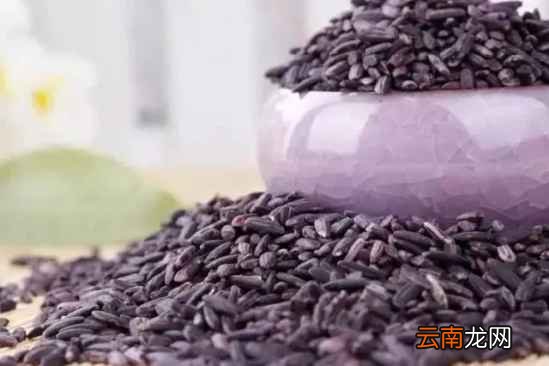 紫米酒酿功效与作用 小小一碗能滋阴补肾