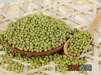 咳嗽吃什么食物好的快 这几种食物比药还好