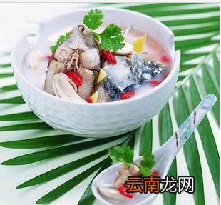 养胃又治病的美味汤 还不快来学一学