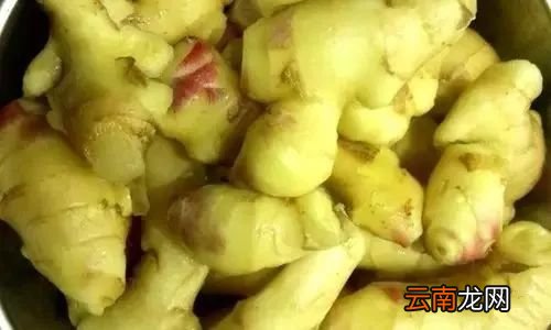 常常吃姜有什么好处 它可以保养心脏哟