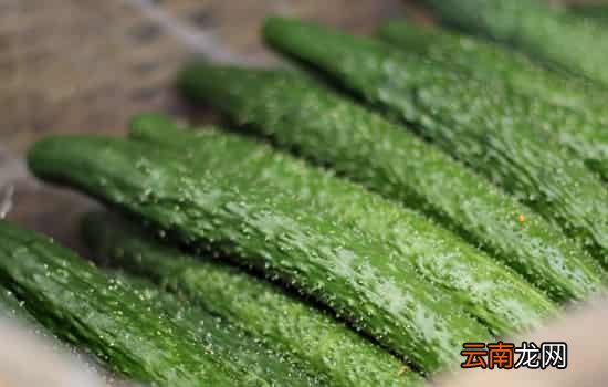 黄瓜为什么长刺 黄瓜细刺扎手怎么处理