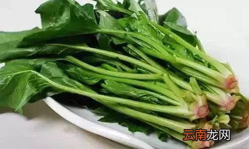 什么食物清肠刮油 几种清肠的好食物推荐