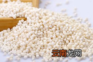 水晶粽子的做法和包法 水晶粽子原来是用西米包的