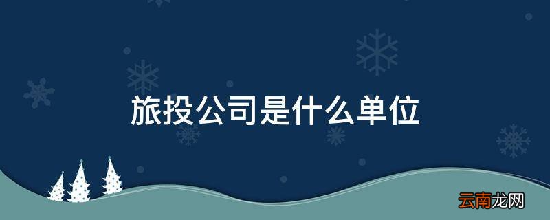 旅投公司是什么单位