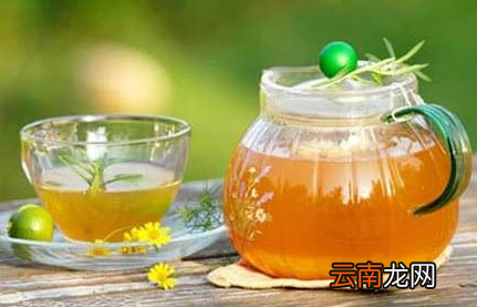 减肥减脂喝什么茶 12种最刮油的茶饮推荐