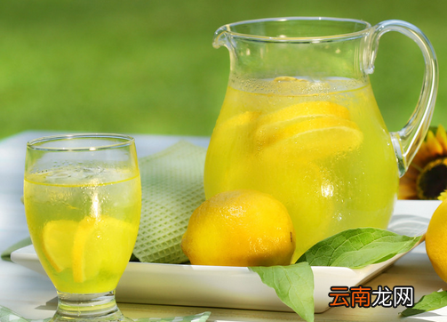 减肥减脂喝什么茶 12种最刮油的茶饮推荐