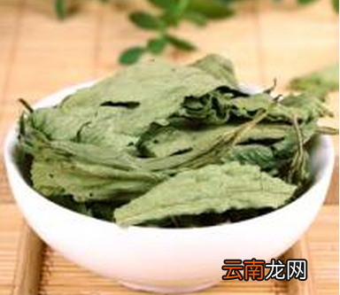 减肥减脂喝什么茶 12种最刮油的茶饮推荐