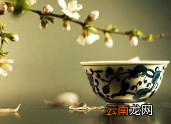 减肥减脂喝什么茶 12种最刮油的茶饮推荐