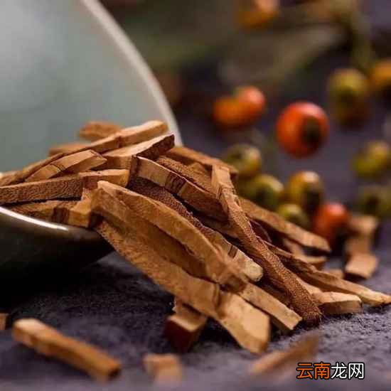 灵芝吃法及功效 灵芝怎么吃功效最好
