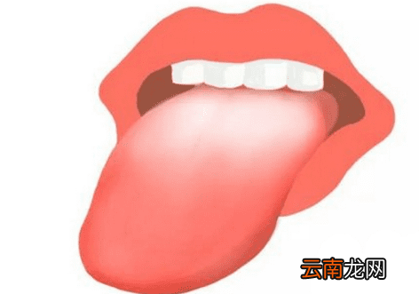 舌头是如何感受味道的