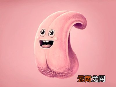 舌头的功能作用是什么