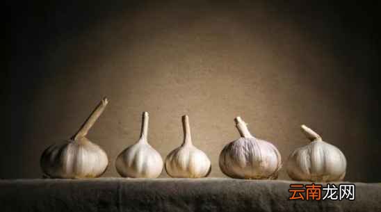 大蒜的功效与作用 但这6种人切勿吃大蒜