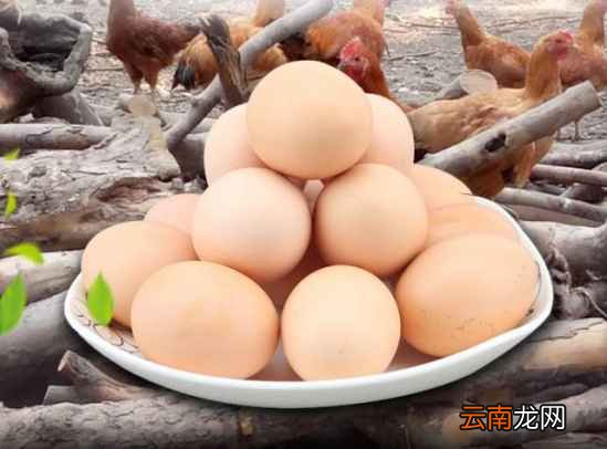 什么菜隔夜不能吃 这八种菜你一定得注意