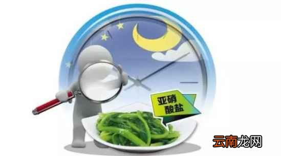 什么菜隔夜不能吃 这八种菜你一定得注意