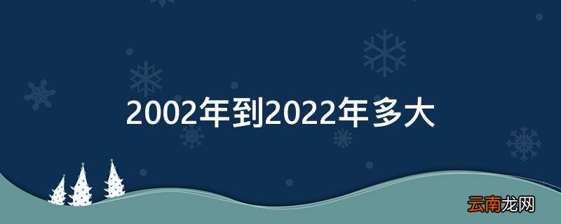 2002年到2022年多大