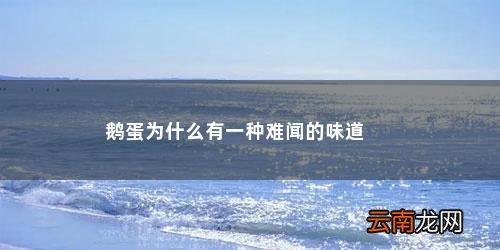 鹅蛋为什么那么腥呢 鹅蛋为什么有一种难闻的味道